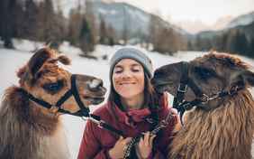 Lamawandern - Foto: Christoph Jorda